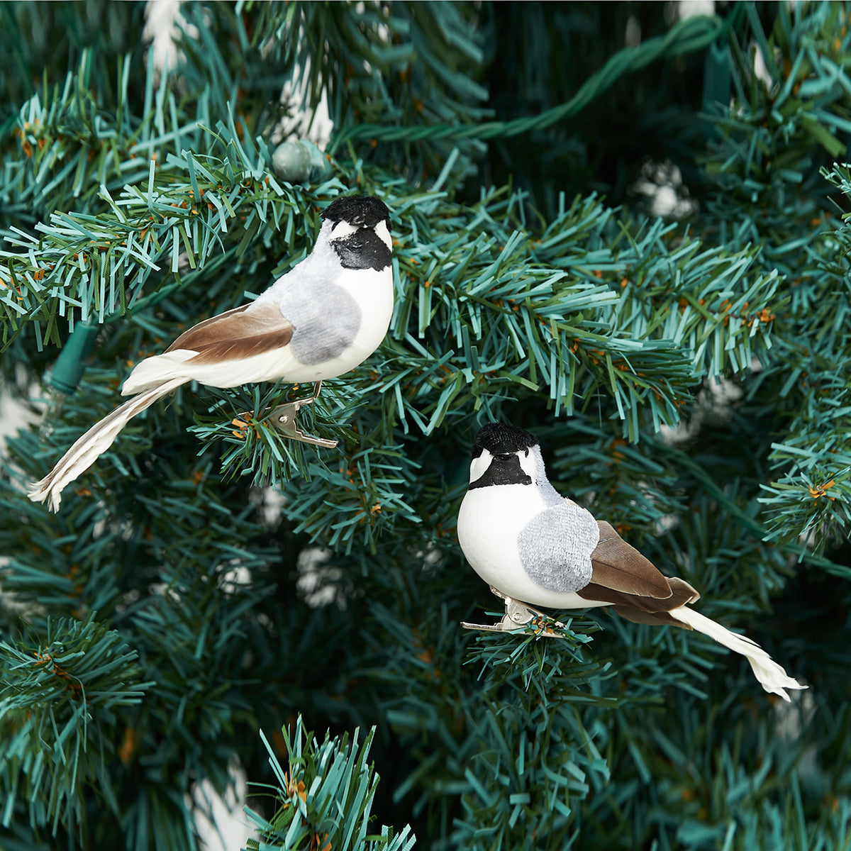 Chickadee Clip Ornaments Set