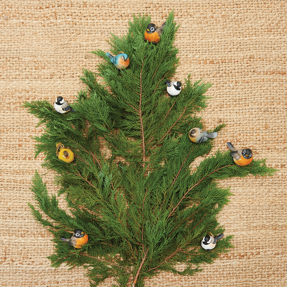 Robin Birds Ornament Set