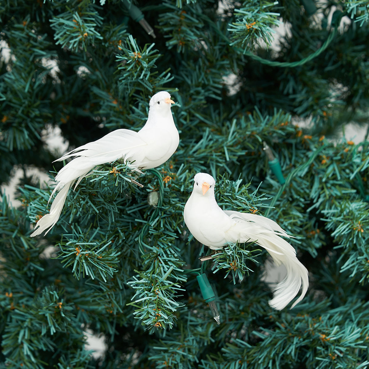 Dove Clip Ornaments, Set of 2