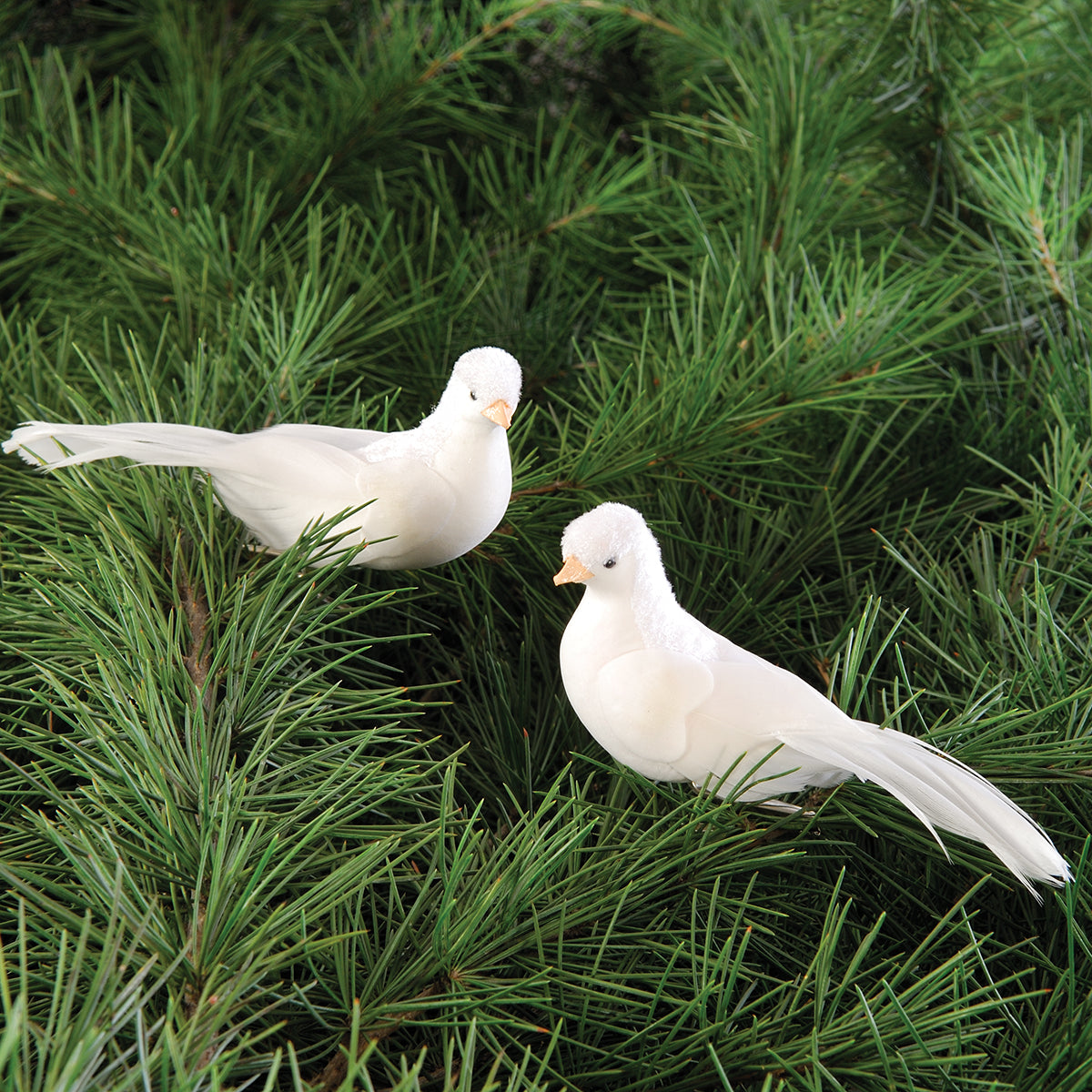 A set of Dove Clip ornaments.