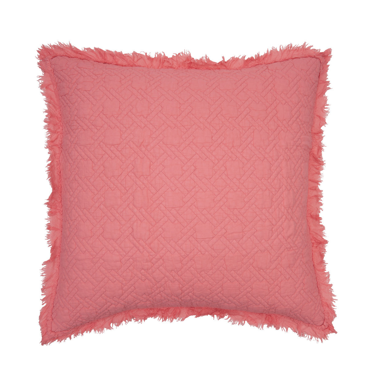 Trellis Euro Sham Set
