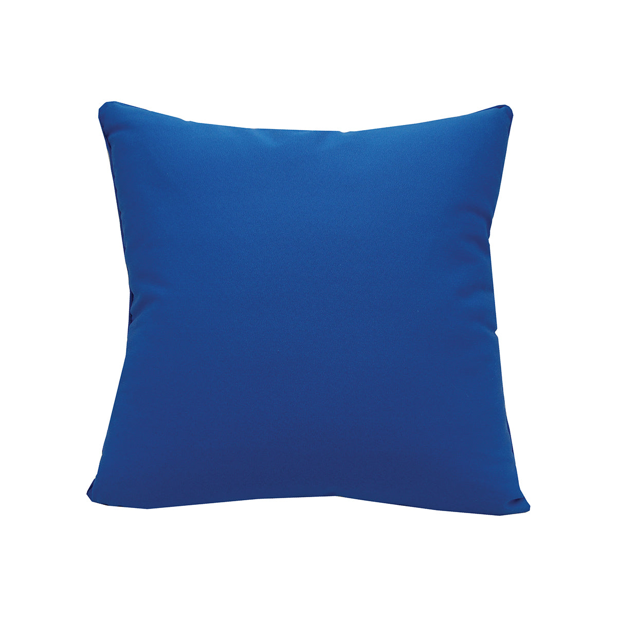 Azure Fish School Indoor Outdoor Pillow
