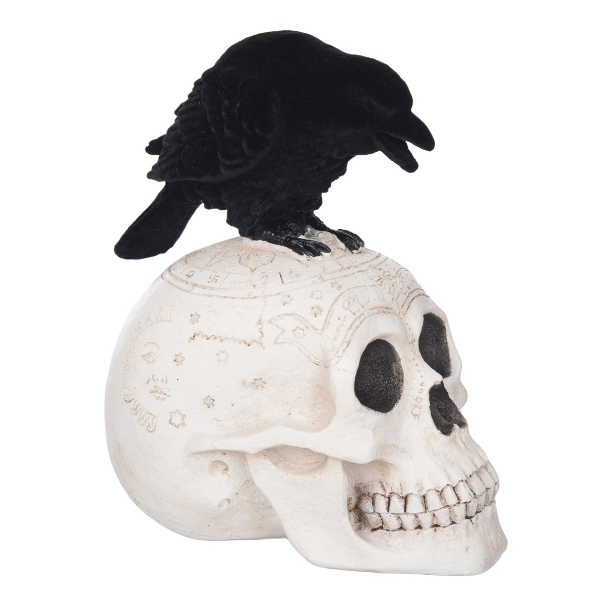 Skull & Crow Figurine