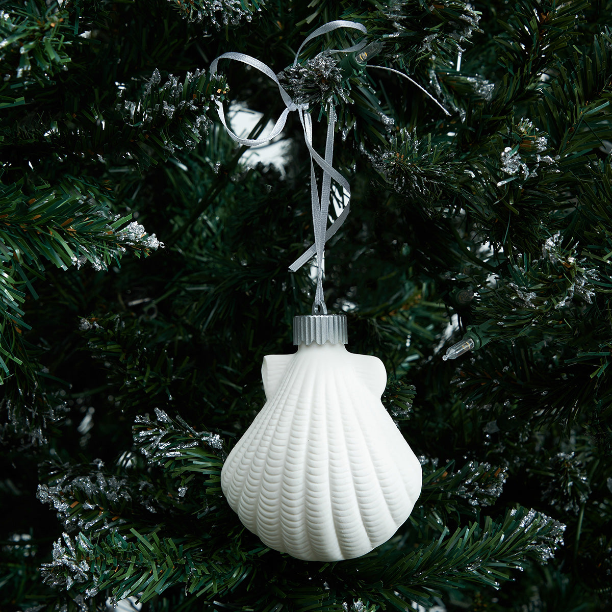 Fan Shells LED Ornament