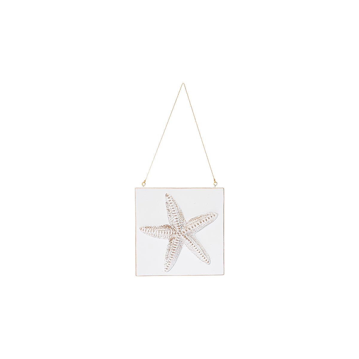 Sea Star Cement Coastal Ornament