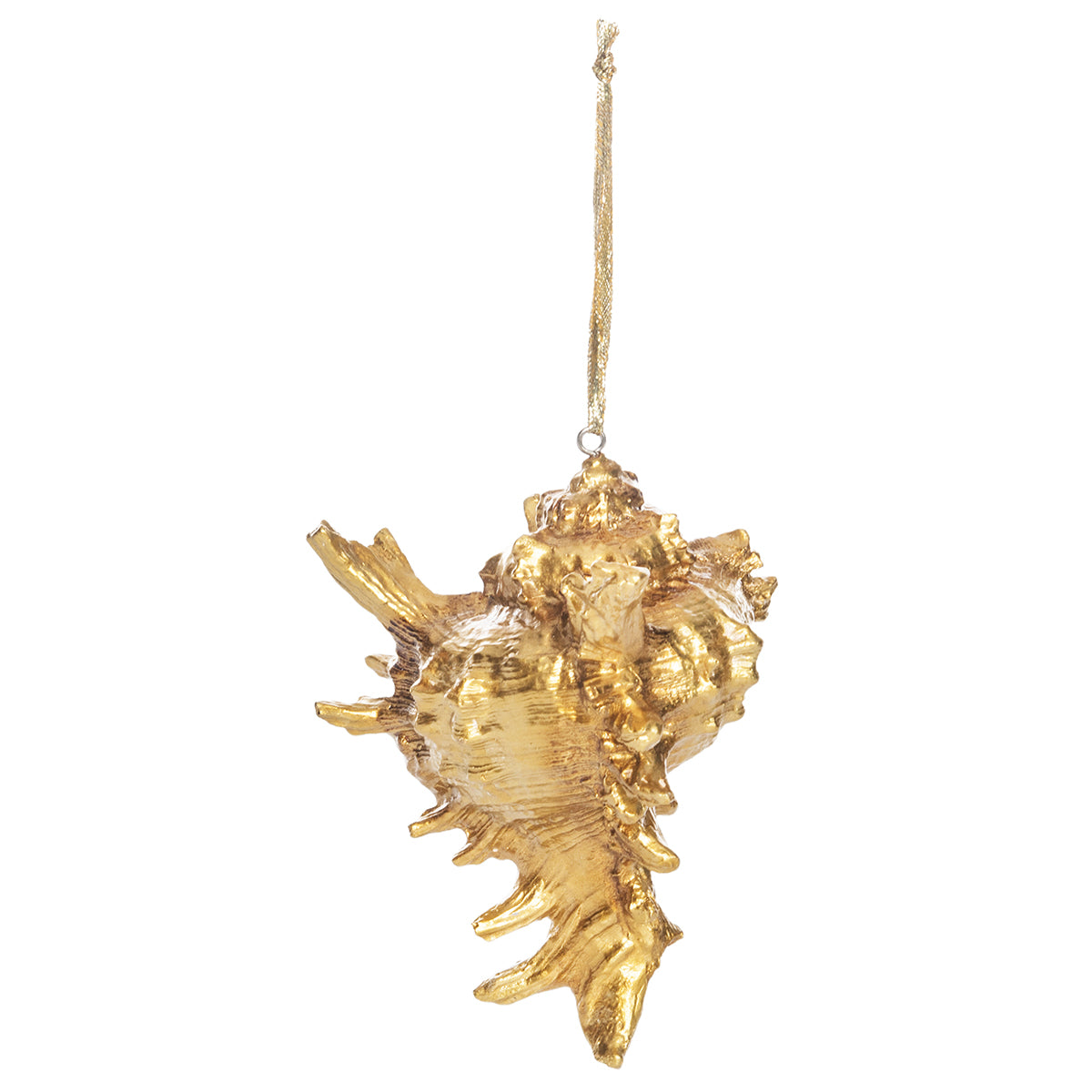 Gold Lace Murex Shell Ornament