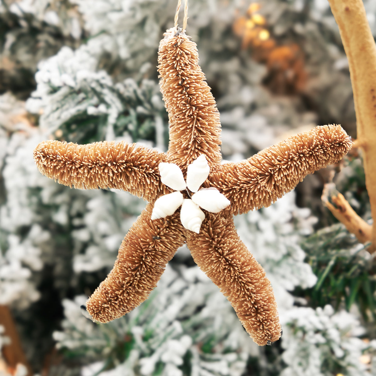 A Abaca Sea Star Ornament.