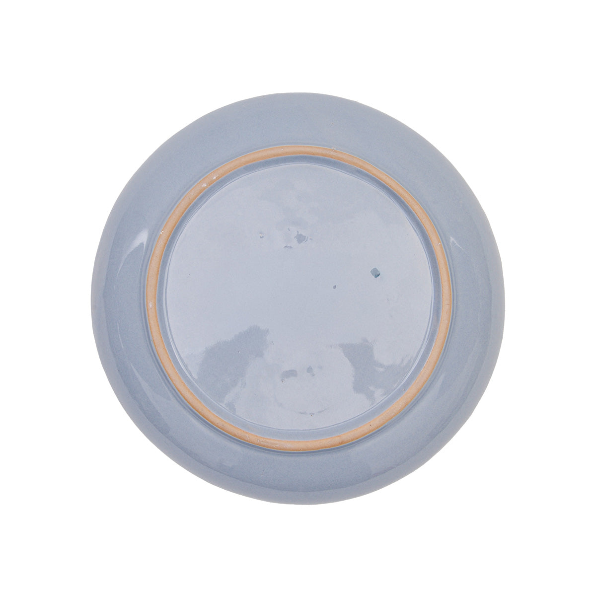 Sea Turtle Embossed Plate, Asst. of 2